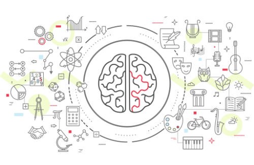 Тренажерный Зал для Мозга